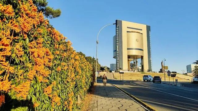 回归荒野__南部非洲四国游