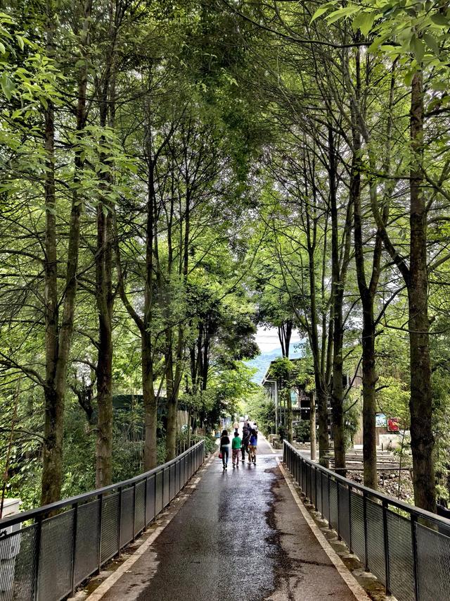 宝山村+太阳湾