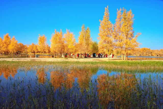 酒泉金塔胡杨林，时光凝固成美丽的神话，奔赴一场秋季的浪漫之旅