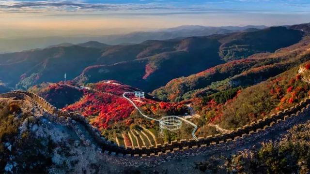 南有琅琊古城｜北有红叶柿岩，解码文旅双星炼成记