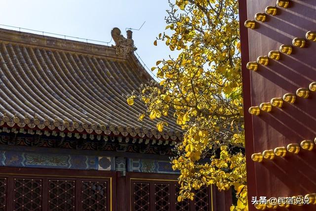故宫这处十年一见的地方，你见过吗？