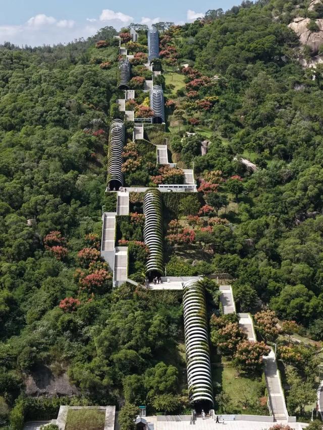 厦门又一网红出片点位,上新!美成偶像剧取景地→