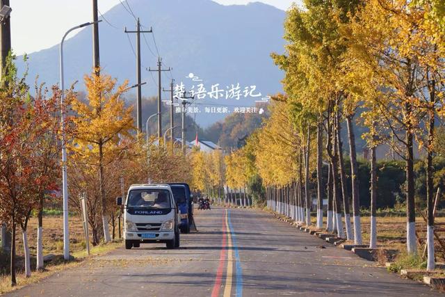 浙江绍兴少有人来的湖泊，景观步道被红杉掩映，平日秀丽秋色更美