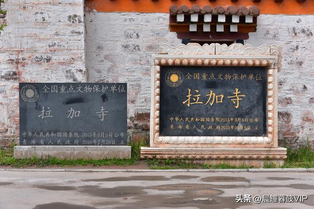 2025夏探寻青海之美（三）