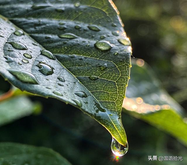 生肖猪注意：12月18到20号，两件麻烦事逼近，提前准备不吃亏！