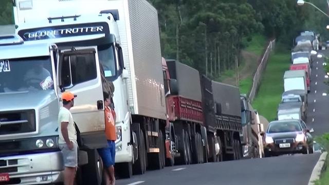 巴西大豆坐地起价？对华报价疯涨，中国买家集体停购：等两个时机