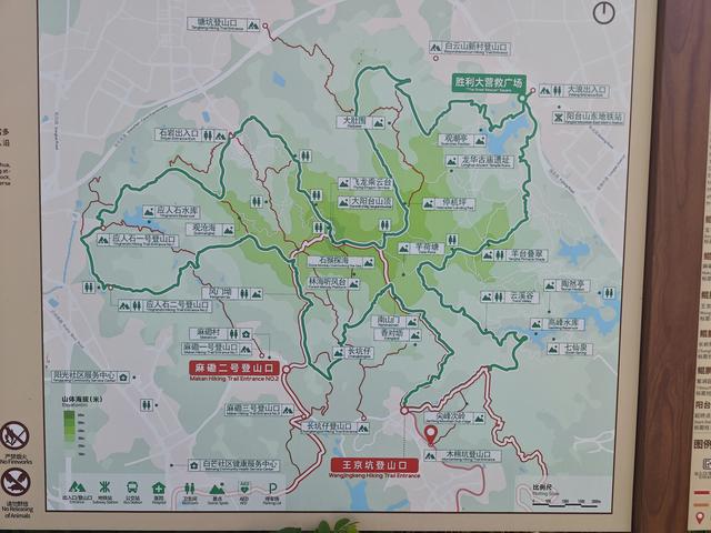 西丽湖绿道，慢慢骑慢慢地欣赏。