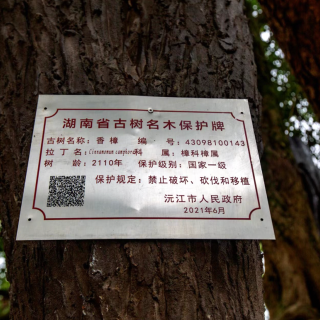 我的宝藏家乡 | 洞庭湖的“中考卷王镇”，地下竟藏着十万年秘密！