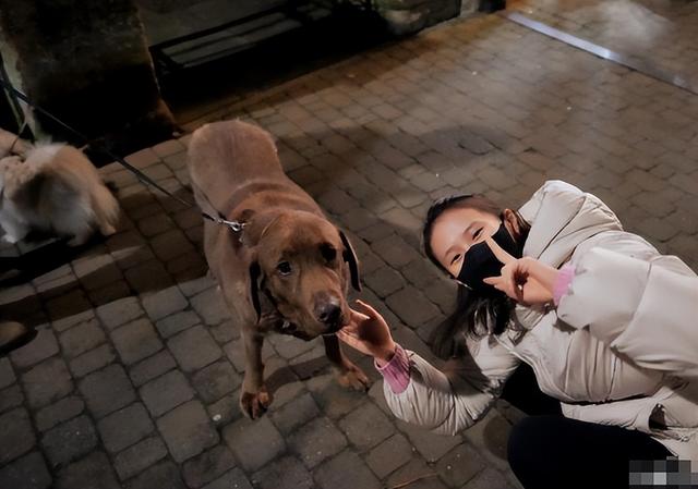 决赛前夕被威胁，陈芋汐不再隐瞒，含泪曝光与全红婵“真实关系	”