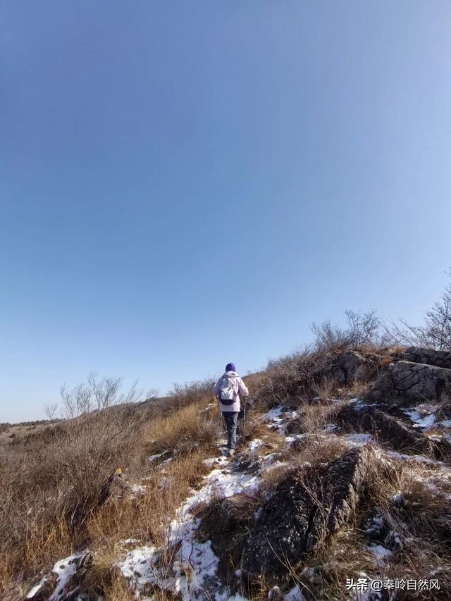雪后初霁登顶嵯峨山，走荒野雪原，看千年悟空塔，感受历史的烟云