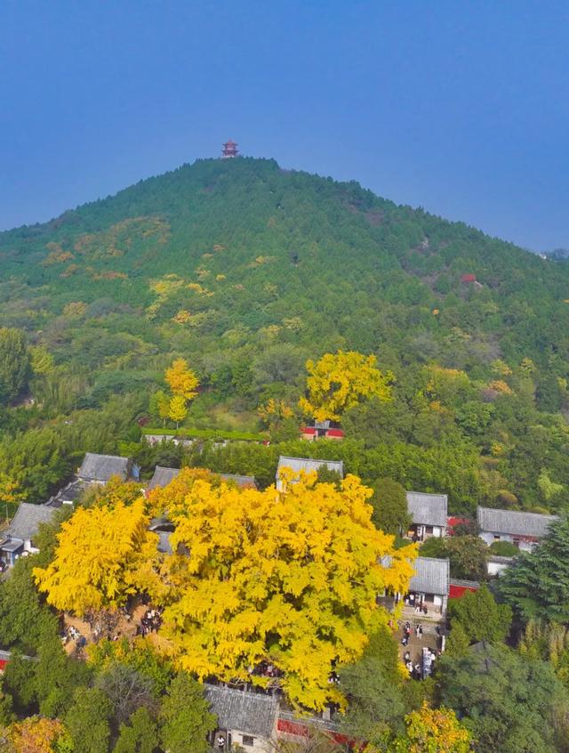 壮观！震撼！很多人都去看了！就在日照这里！