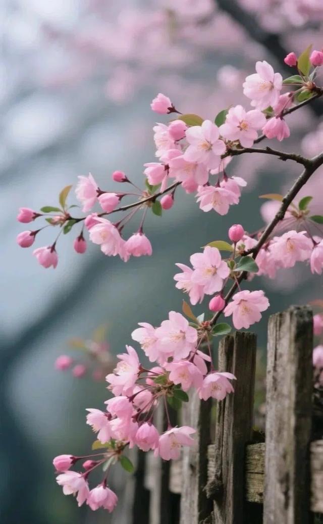 #治愈系风景 #清新美景