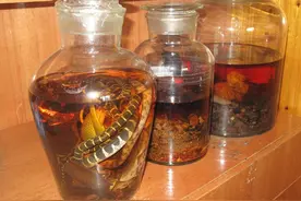 喜事变丧事，一杯药酒竟致5人死亡，这5类中药泡的酒快趁早丢掉！图片