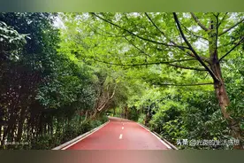 从桂林甲山桥走桃花江步道到芦笛岩景区，沿途经过4个景点图片