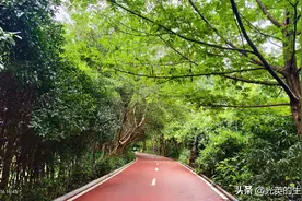 从桂林甲山桥走桃花江步道到芦笛岩景区，沿途经过4个景点图片