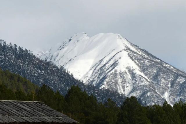 别再只盯着桃花了！林芝的雪山湖泊春天一样封神
