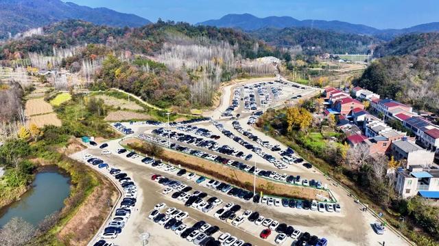 银杏谷旅游度假区缘何火爆出圈？