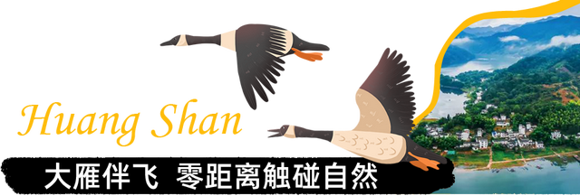 “大雁伴飞”“冰雪世界”！排队预警！开业即“顶流”，正式入驻黄山！