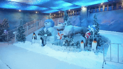 “大雁伴飞”“冰雪世界”！排队预警！开业即“顶流”，正式入驻黄山！
