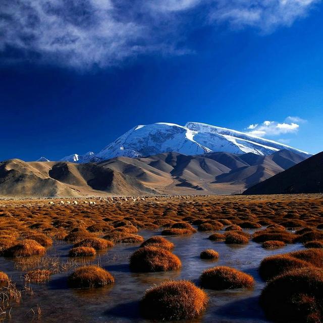 诗和远方 魅影新疆