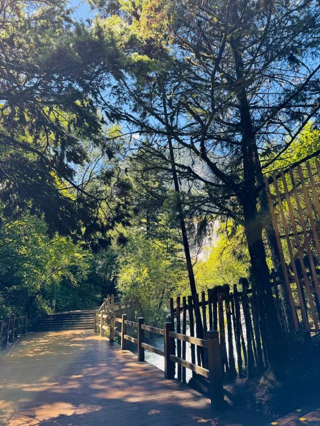 鱼跃天际、鸟翔水底，九寨沟邀你共赏夏日奇景~