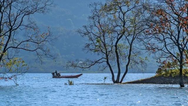 这么静，那么美，周末来洈水必打卡的七件事！