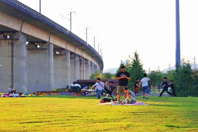 三条高铁并行！桥下还有“宝藏”，等你发现！