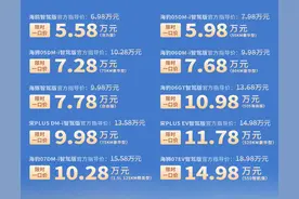 继续“卷”！比亚迪发布十大车型限时一口价，海鸥5.58万起图片