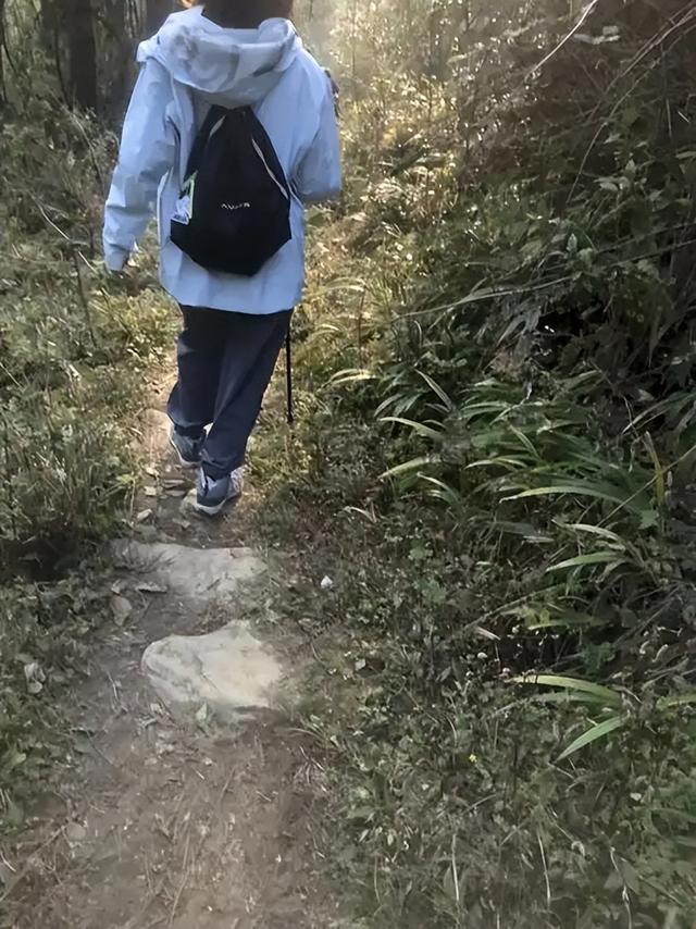 惨！重庆男子下高山，一直在看手机，不幸坠崖，女驴友惊呼“啊”