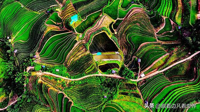 《西双版纳 澜沧行》左都佤山梯田云雾：天地间的水墨长卷