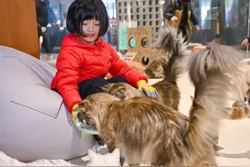 “吃谷”+萌宠！五角场的潮店好有“Young”图片