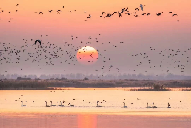 冬日畅游齐鲁，相约乐GO山东！
