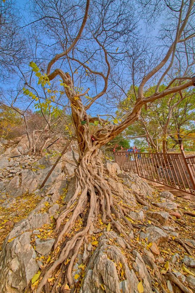 太全面了！8条游玩线路+京郊汤泉！带您玩转北京这里！（1）