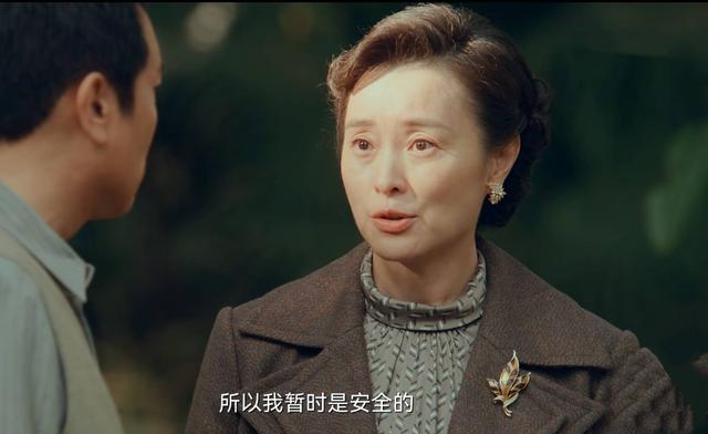 2025谍战经典：《沉默的荣耀》