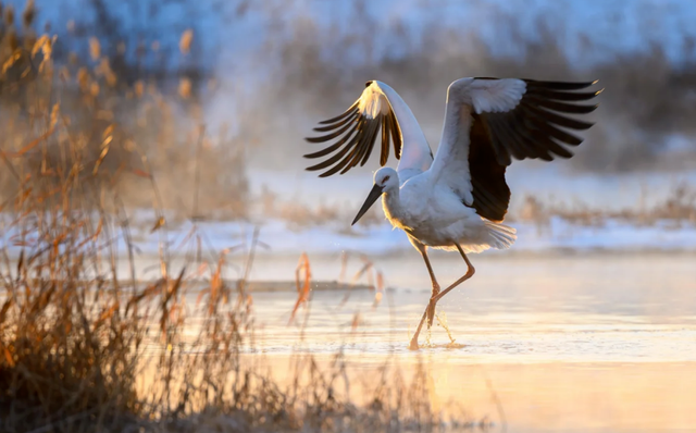 2025最后一场旅行，来泽州主打一个“爱你老己”