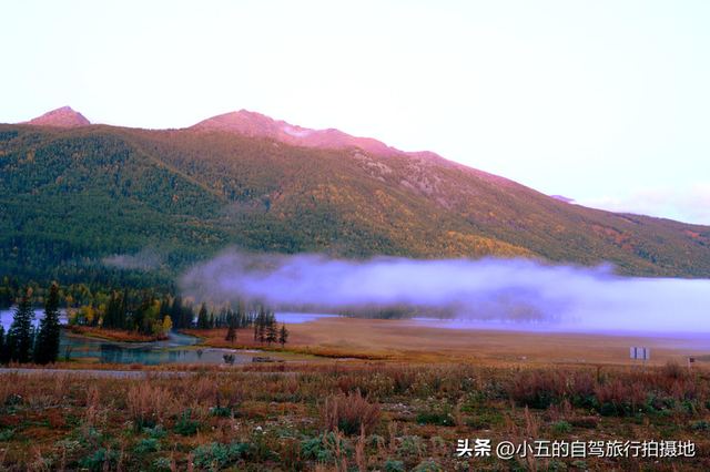 🔥喀纳斯秋疯了！人均800攻略，错过等一年的神仙颜值+避坑指南