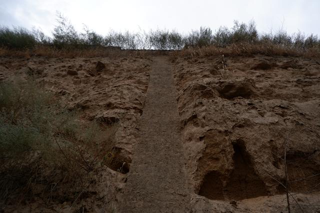 寻梦洪福：一场跨越千年的古建邂逅
