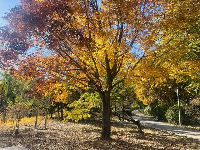 爱上跑步运动的理由,这一个就够了!