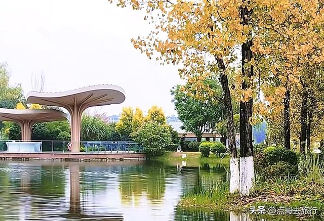 成都主城区最大人工湖，秋天超级惊艳，不要门票，地铁公交直达！