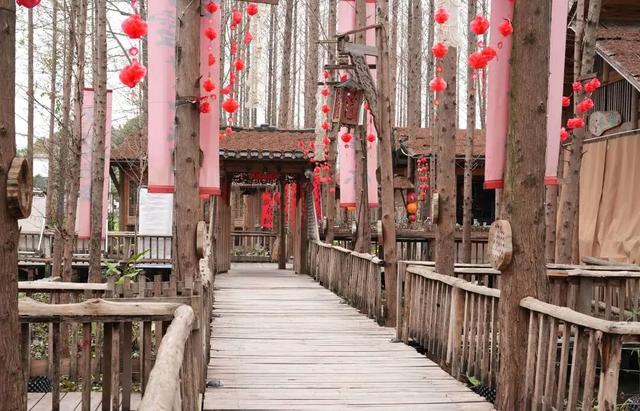 五大点位，廖家镇春日赏花地图来了！