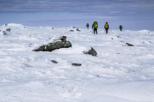 8年禁令鳌太线为何越禁越火？3.5亿爱好者疯抢的“强驴毕业礼”！