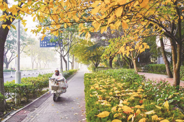 日照秋韵 一笺诗意入画来