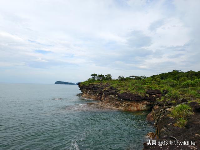 马来西亚(35)砂拉越州⑨峇哥国家公园徒步线路