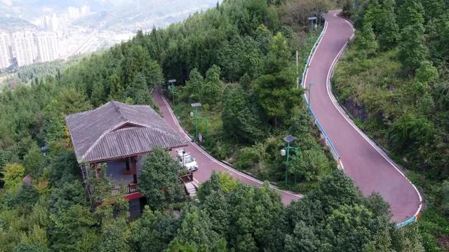 桐梓家门口的这些公园太好逛了→
