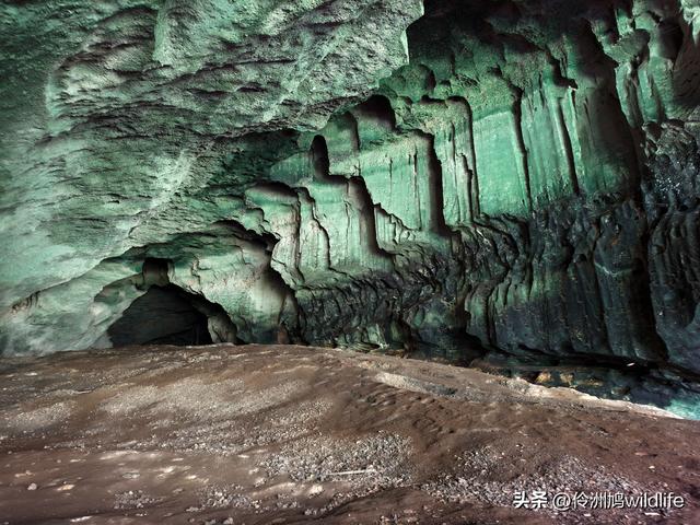 马来西亚(32)砂拉越州⑥世界遗产尼亚洞窟探险