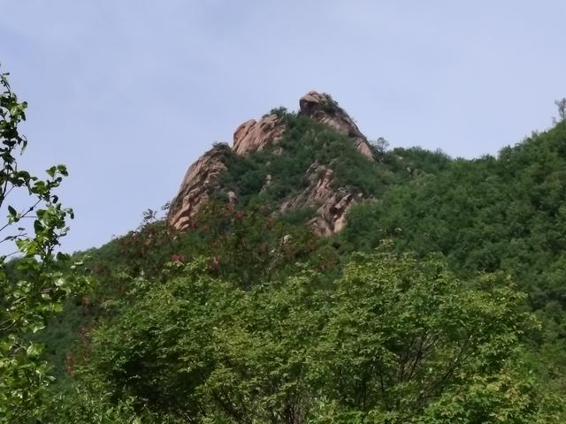 汝阳核桃幔山