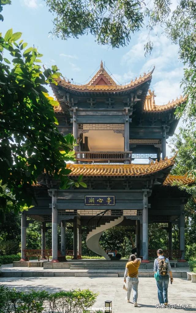 骑遇坪山① | 宝藏“高颜值”骑行线,拍出森系大片刷爆朋友圈