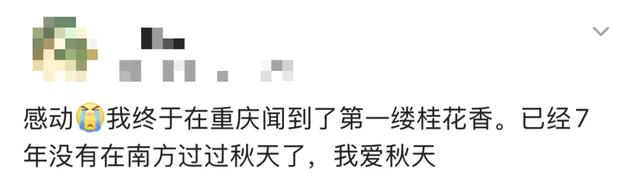 “pong”香！“min”甜～重庆这些地方“桂”含量超高