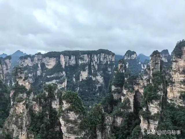 古城变空城亏10亿！17家机构砸15亿救ST张家界，能成吗？