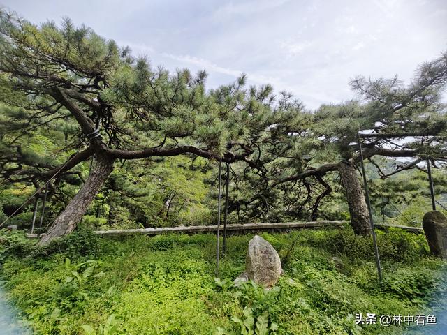 徒步登泰山之二——又是3小时，从中天门到南天门，不累！